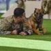 MWD: Welcome to the dog show