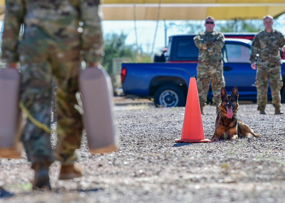 MWD: Welcome to the dog show