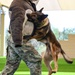 MWD: Welcome to the dog show