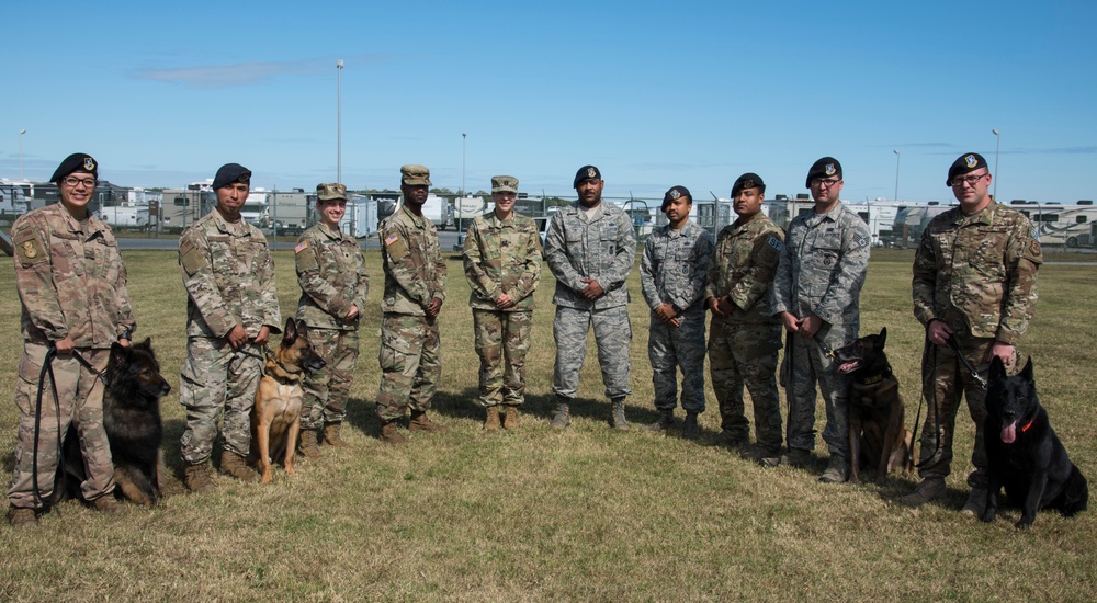 436th SFS military working dog section group photo