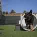 Military Police working dog handlers work on obedience training