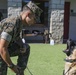 Military Police working dog handlers work on obedience training