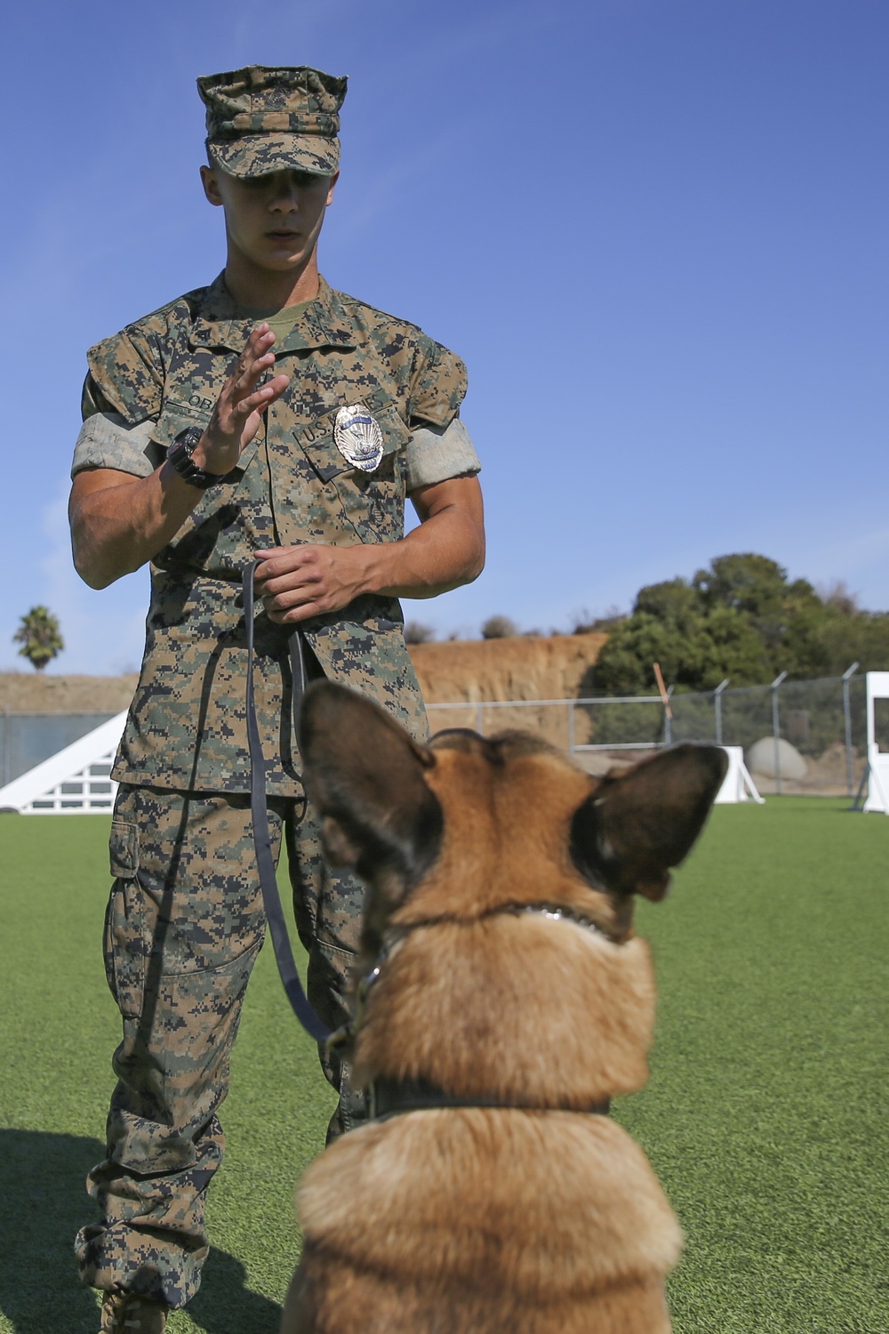 Military Police working dog handlers work on obedience training