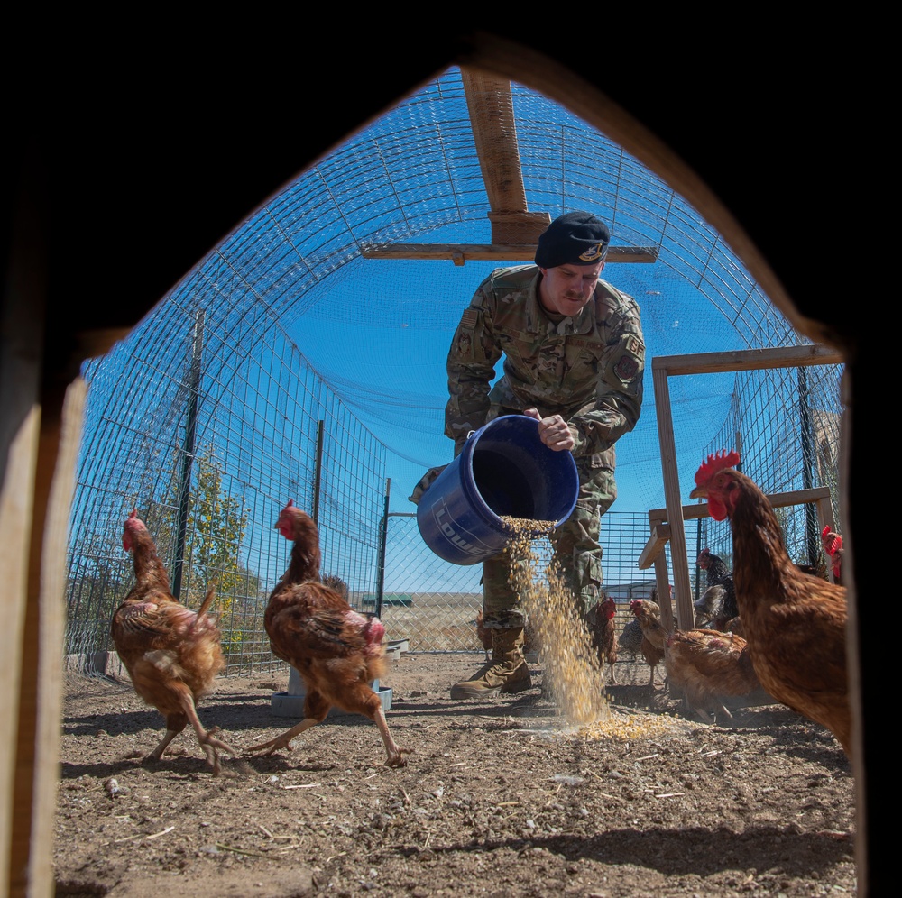Schriever Airman returns from deployment, farms for resilience
