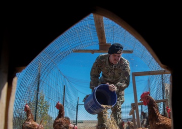 Schriever Airman returns from deployment, farms for resilience