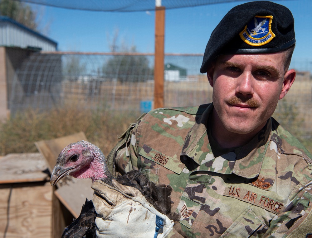 Schriever Airman returns from deployment, farms for resilience