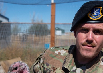 Schriever Airman returns from deployment, farms for resilience