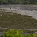 PH, US Marines conduct the final exercise of KAMANDAG 3