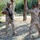 CTS Urban Operations training