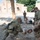 CTS Urban Operations training