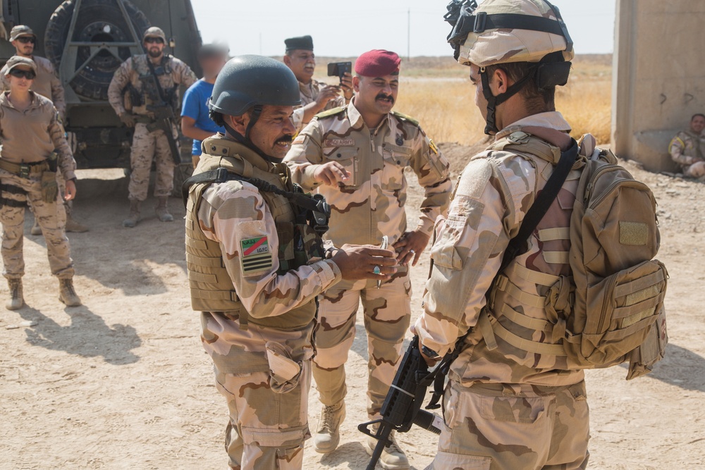 Checkpoint Training