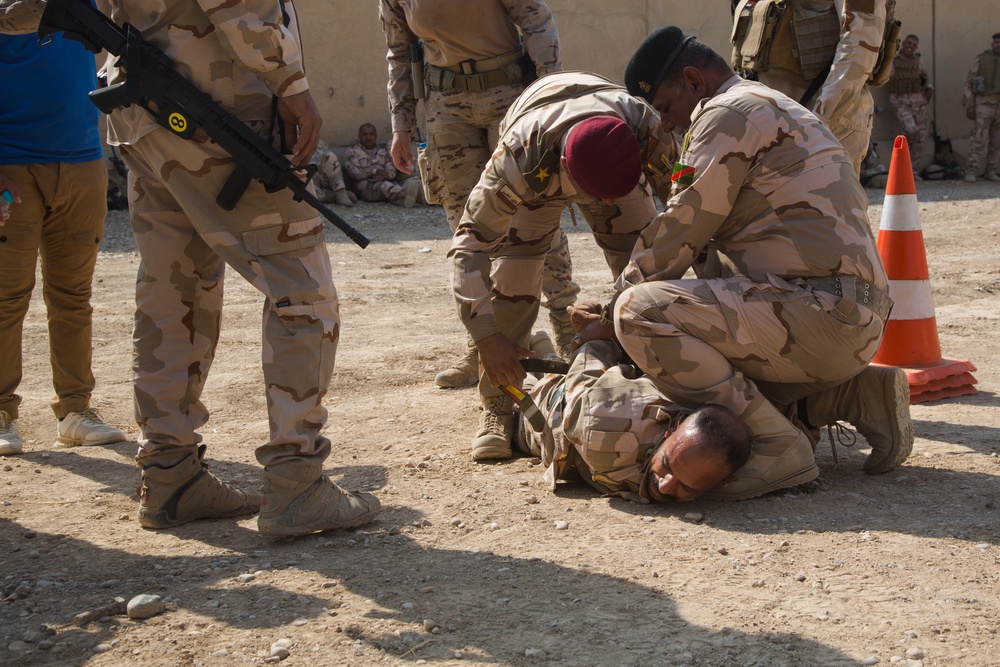 Checkpoint Training