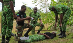 Civil Affairs Team 324 support Gabonese partner nation in counter illicit trafficking operations [Image 4 of 20]