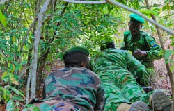 Civil Affairs Team 324 support Gabonese partner nation in counter illicit trafficking operations [Image 17 of 20]