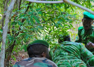 Civil Affairs Team 324 support Gabonese partner nation in counter illicit trafficking operations