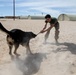 Man's best friend supports 2dMARDIV