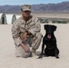 Man's best friend supports 2dMARDIV