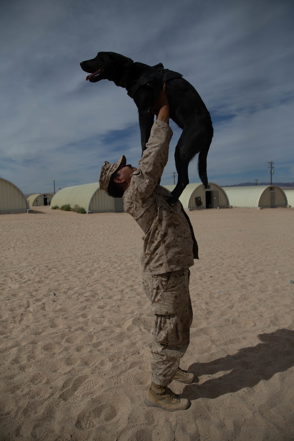 Man's best friend supports 2d MARDIV