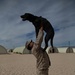 Man's best friend supports 2d MARDIV