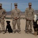 Man's best friend supports 2d MARDIV
