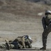 Infantry Training Battalion Marines conduct basic fire, maneuver training