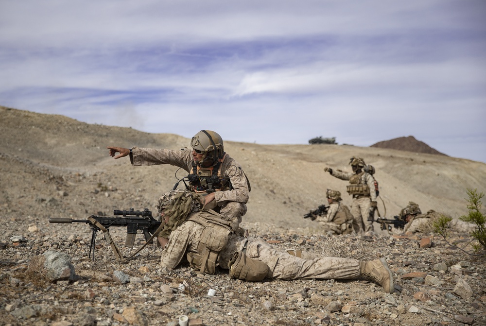 DVIDS - Images - Marines of 1/6 dismount AAV's for the Mechanized ...