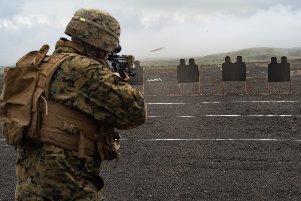 U.S. Marines conduct combat marksmanship range during Fuji Viper 20.1