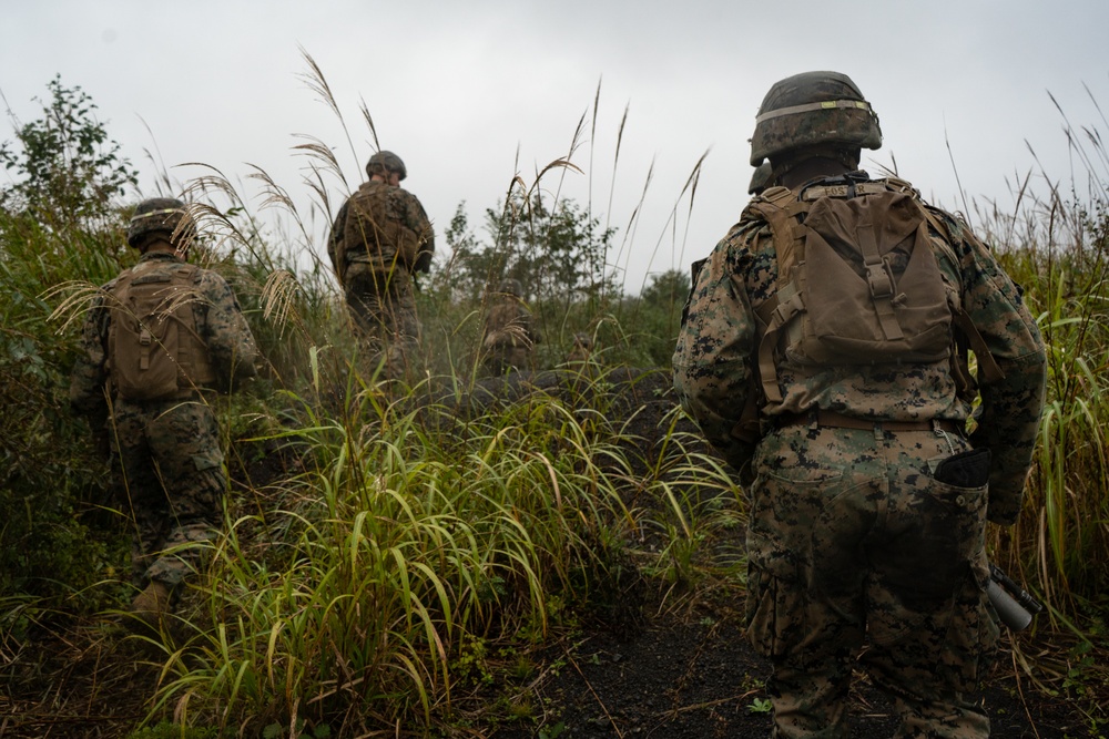 U.S. Marines conduct AAV integration training during Fuji Viper 20-1