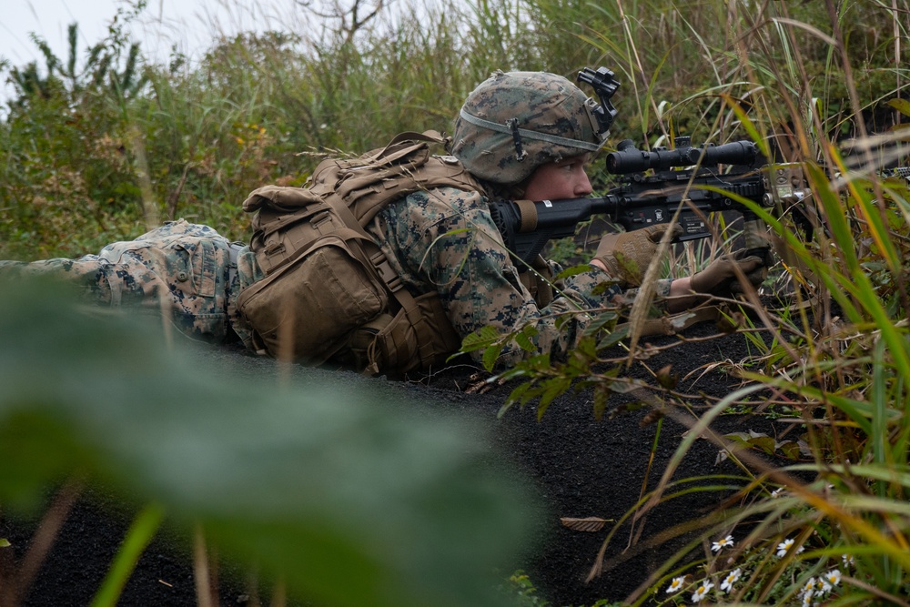 U.S. Marines conduct AAV integration training during Fuji Viper 20-1