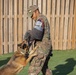 Military Working Dog Training
