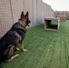Military Working Dog Training