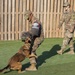 Military Working Dog Training