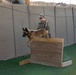 Military Working Dog Training