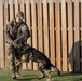 Military Working Dog Training