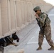 Military Working Dog Training