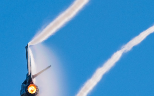 F-35 Demo Team performs at Wings Over Houston Airshow