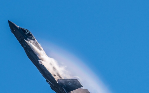 F-35 Demo Team performs at Wings Over Houston Airshow