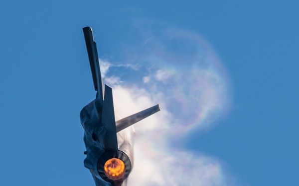 F-35 Demo Team performs at Wings Over Houston Airshow