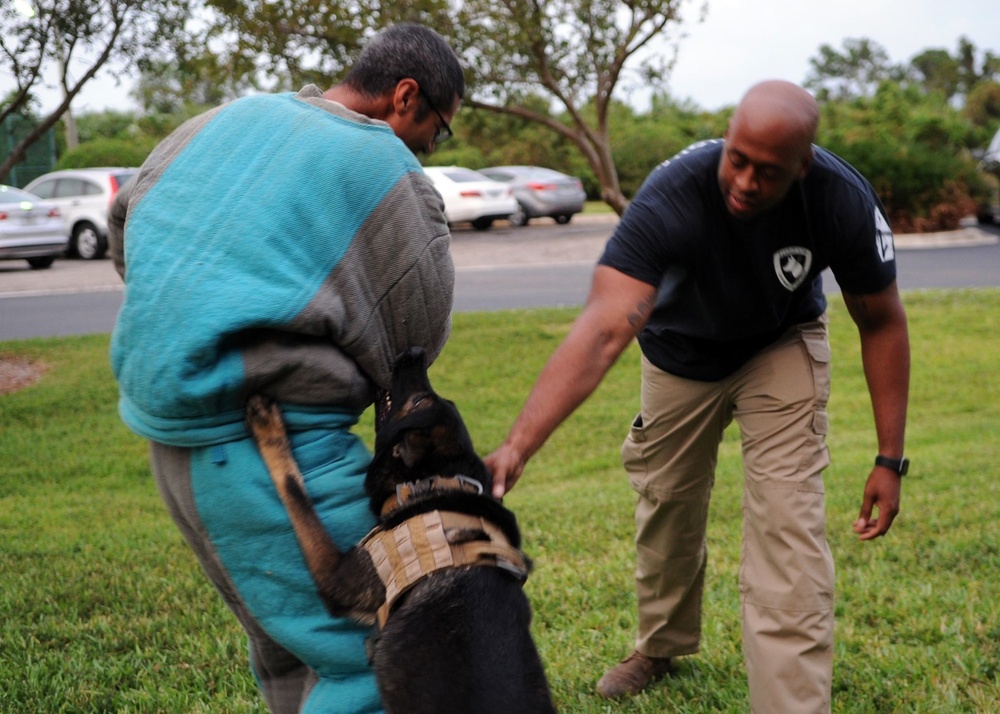 45th SFS MWD handlers give back to community through Cub Scout Outreach Program