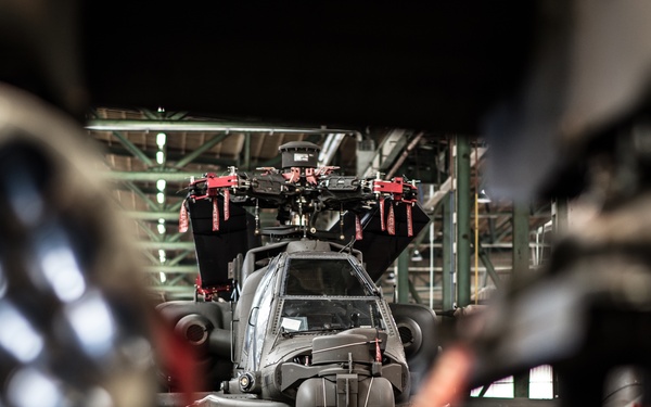 Rotterdam Port Operations with 1st CAB