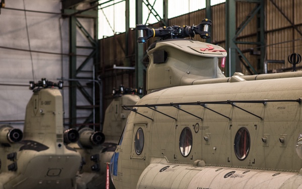 Rotterdam Port Operations with 1st CAB