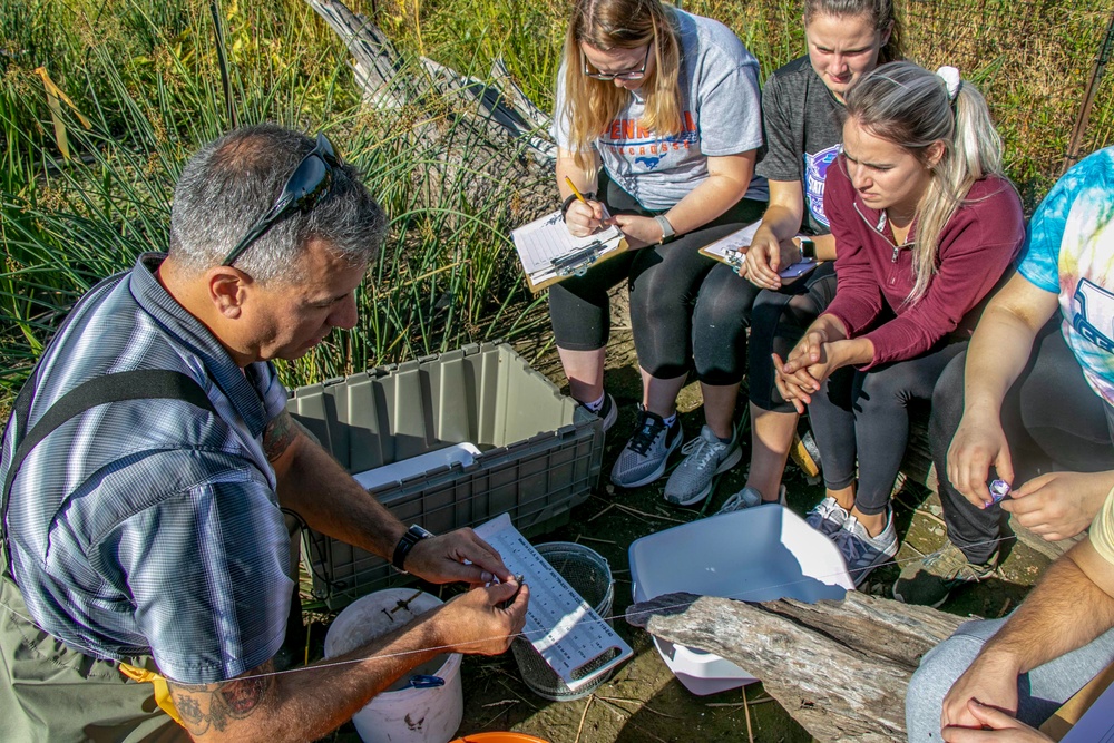 Buffalo District conducts fish survey at Unity Island with D'Youville College