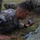 Fort Bragg's 95th Civil Affairs Brigade competes to see who’s best
