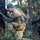 Fort Bragg's 95th Civil Affairs Brigade competes to see who’s best