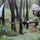 Fort Bragg's 95th Civil Affairs Brigade competes to see who’s best