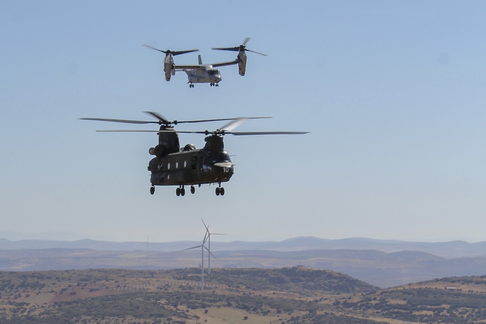 Black Joint Exercise 2019