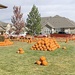 On-post trick-or-treating Oct. 31, 2019 — Housing villages encourage safety