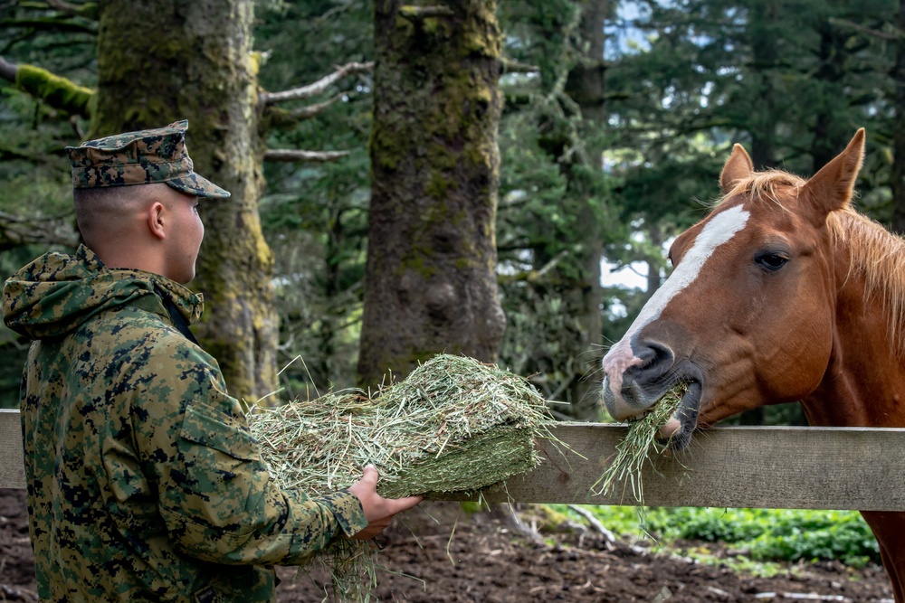 U.S. Marines and Sailors Lend a Hand in Kodiak, Alaska