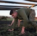 NCO's with Headquarters and Service Battalion organize Physical Training