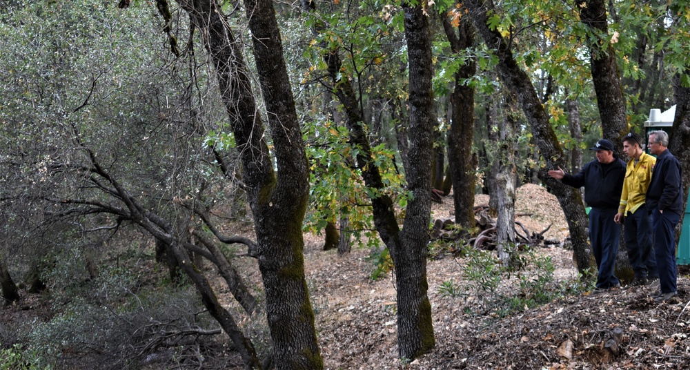 JTF Rattlesnake’s Auburn hand crew clear hillside of potential fire fuels